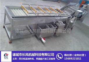 枸杞翻浪清洗機生產廠家詢問報價